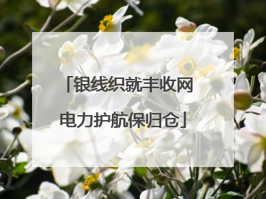 银线织就丰收网 电力护航保归仓