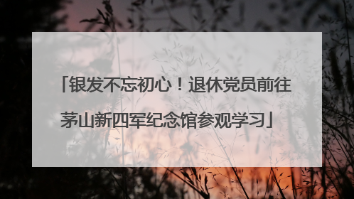银发不忘初心！退休党员前往茅山新四军纪念馆参观学习