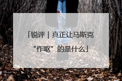 锐评|真正让马斯克“作呕”的是什么