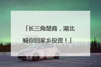 长三角楚商，湖北喊你回家乡投资！