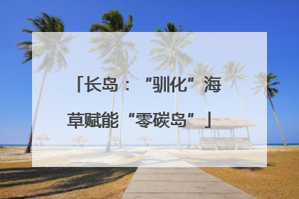 长岛：“驯化”海草赋能“零碳岛”