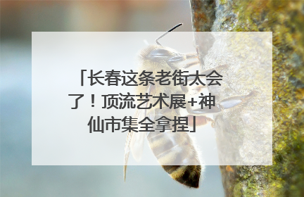 长春这条老街太会了！顶流艺术展+神仙市集全拿捏