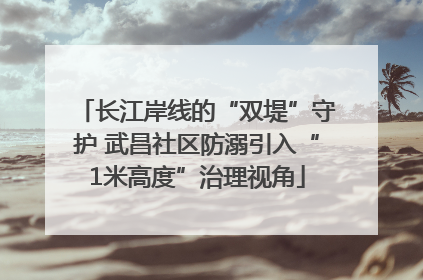 长江岸线的“双堤”守护 武昌社区防溺引入“1米高度”治理视角