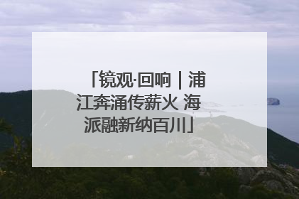 镜观·回响｜浦江奔涌传薪火 海派融新纳百川