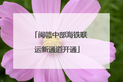 闽赣中部海铁联运新通道开通