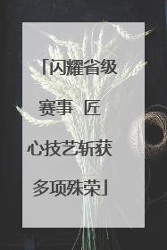 闪耀省级赛事  匠心技艺斩获多项殊荣