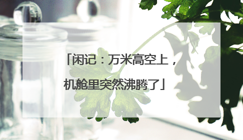 闲记：万米高空上，机舱里突然沸腾了