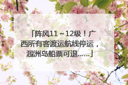 阵风11～12级！广西所有客渡运航线停运，涠洲岛船票可退……
