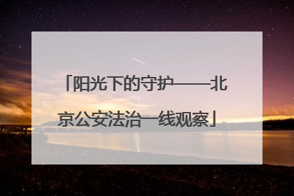 阳光下的守护——北京公安法治一线观察