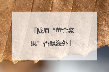 陇原“黄金浆果”香飘海外