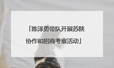 陈泽勇带队开展苏陕协作和招商考察活动