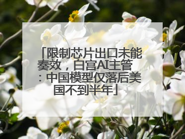 限制芯片出口未能奏效，白宫AI主管：中国模型仅落后美国不到半年