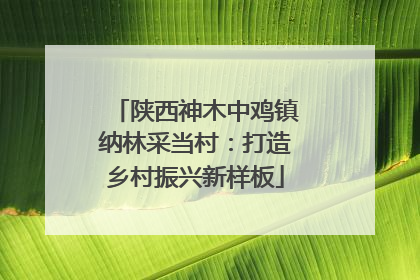 陕西神木中鸡镇纳林采当村：打造乡村振兴新样板