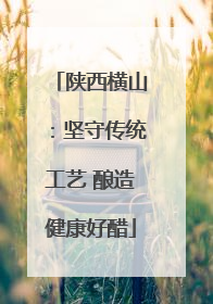 陕西横山：坚守传统工艺 酿造健康好醋