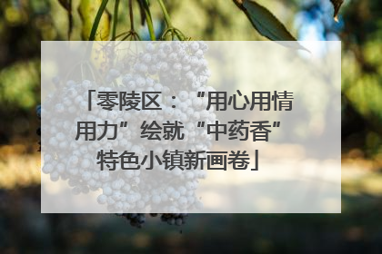 零陵区：“用心用情用力”绘就“中药香”特色小镇新画卷