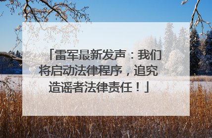 雷军最新发声：我们将启动法律程序，追究造谣者法律责任！