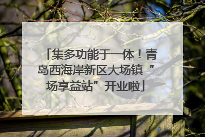 集多功能于一体！青岛西海岸新区大场镇“场享益站”开业啦