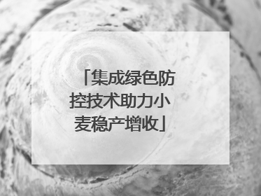 集成绿色防控技术助力小麦稳产增收