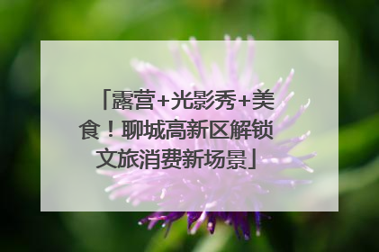 露营+光影秀+美食！聊城高新区解锁文旅消费新场景