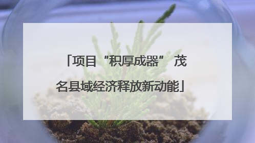 项目“积厚成器” 茂名县域经济释放新动能