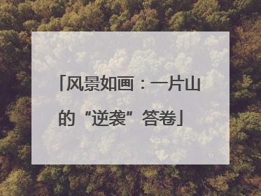 风景如画：一片山的“逆袭”答卷