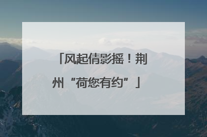 风起倩影摇！荆州“荷您有约”