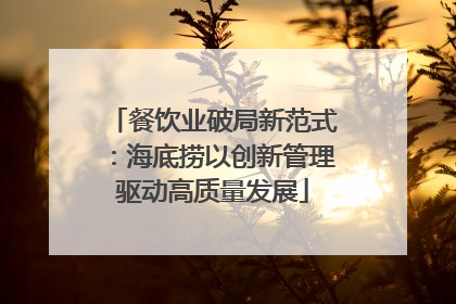 餐饮业破局新范式：海底捞以创新管理驱动高质量发展