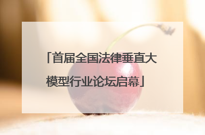 首届全国法律垂直大模型行业论坛启幕