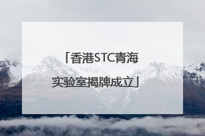 香港STC青海实验室揭牌成立