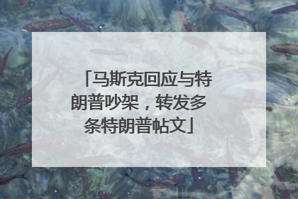 马斯克回应与特朗普吵架，转发多条特朗普帖文