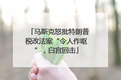 马斯克怒批特朗普税改法案“令人作呕”，白宫回击