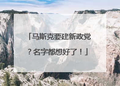 马斯克要建新政党？名字都想好了！