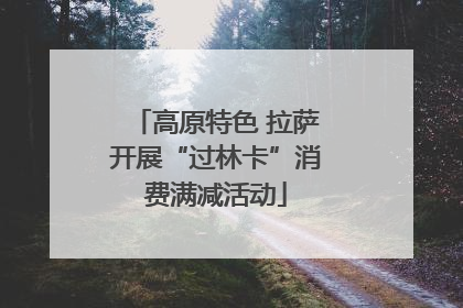 高原特色 拉萨开展“过林卡”消费满减活动