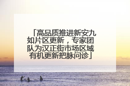 高品质推进新安九如片区更新，专家团队为汉正街市场区域有机更新把脉问诊