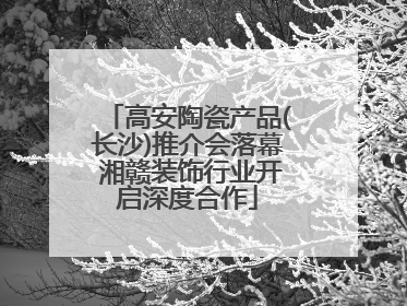 高安陶瓷产品(长沙)推介会落幕 湘赣装饰行业开启深度合作