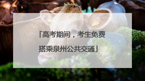 高考期间，考生免费搭乘泉州公共交通