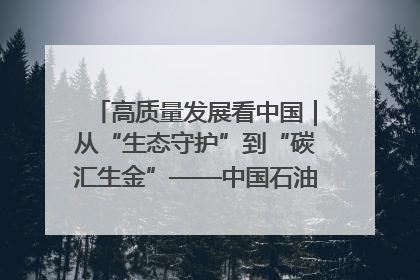 高质量发展看中国｜从“生态守护”到“碳汇生金”——中国石油大庆油田绿色蝶变