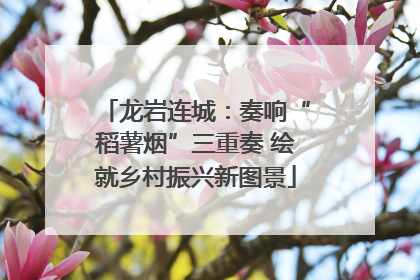 龙岩连城：奏响“稻薯烟”三重奏 绘就乡村振兴新图景