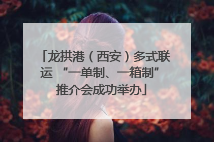 龙拱港（西安）多式联运 “一单制、一箱制” 推介会成功举办