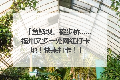 鱼鳞坝、碇步桥……福州又多一处网红打卡地！快来打卡！