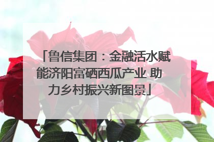 鲁信集团：金融活水赋能济阳富硒西瓜产业 助力乡村振兴新图景