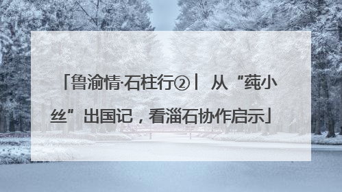 鲁渝情·石柱行② ︳从“莼小丝”出国记，看淄石协作启示