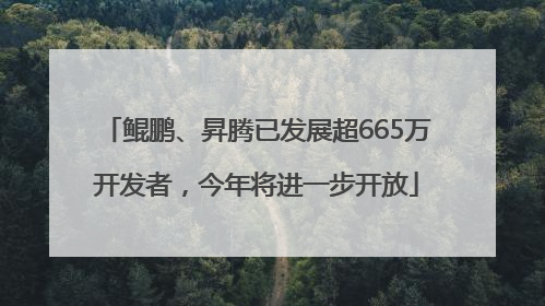 鲲鹏、昇腾已发展超665万开发者，今年将进一步开放