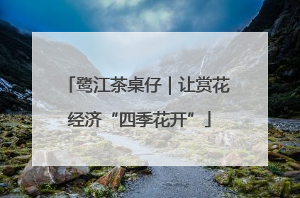 鹭江茶桌仔｜让赏花经济“四季花开”