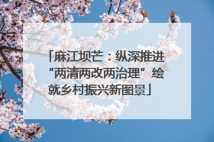 麻江坝芒：纵深推进“两清两改两治理”绘就乡村振兴新图景