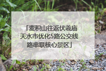 麦积山往返伏羲庙 天水市优化5路公交线路串联核心景区