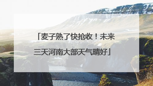 麦子熟了快抢收！未来三天河南大部天气晴好