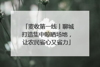 麦收第一线丨聊城打造集中晾晒场地，让农民省心又省力