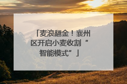 麦浪翻金！襄州区开启小麦收割“智能模式”