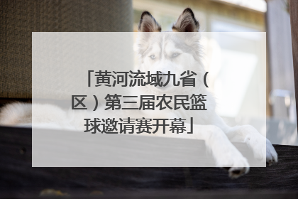 黄河流域九省（区）第三届农民篮球邀请赛开幕